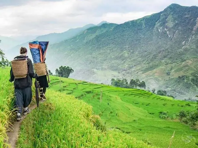 Best of North Vietnam — Premium
